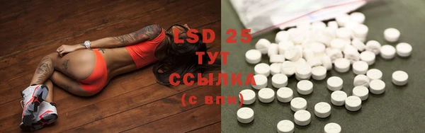 мдпв Богородицк