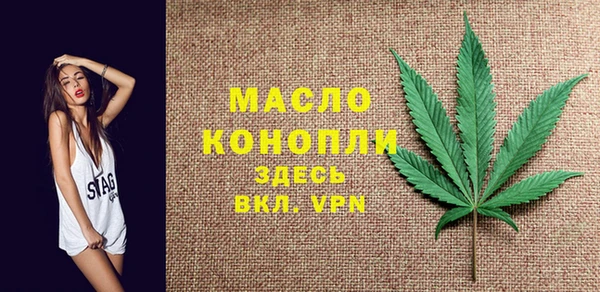 мдпв Богородицк
