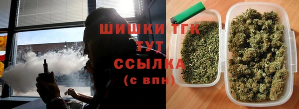 мдпв Богородицк