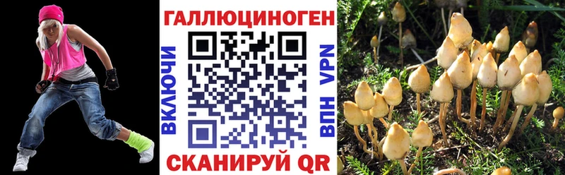 Галлюциногенные грибы прущие грибы  Высоковск 